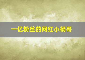 一亿粉丝的网红小杨哥