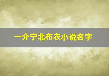 一介宁北布衣小说名字