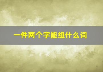 一件两个字能组什么词