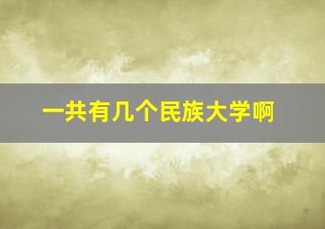 一共有几个民族大学啊