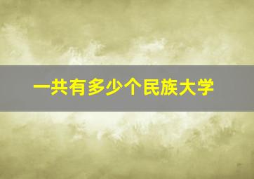 一共有多少个民族大学