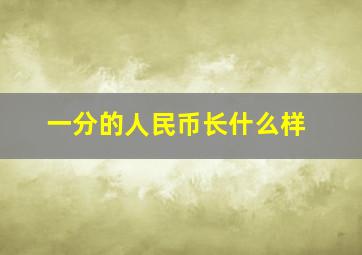 一分的人民币长什么样