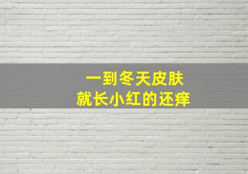 一到冬天皮肤就长小红的还痒