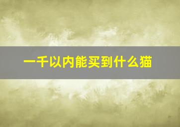 一千以内能买到什么猫