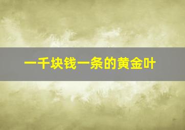 一千块钱一条的黄金叶