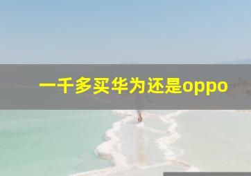 一千多买华为还是oppo