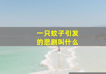 一只蚊子引发的悲剧叫什么