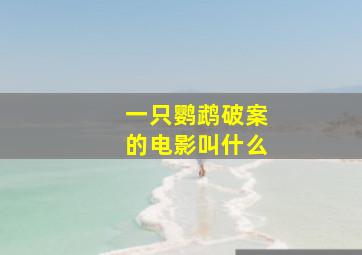 一只鹦鹉破案的电影叫什么