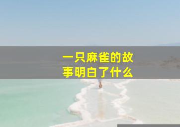 一只麻雀的故事明白了什么