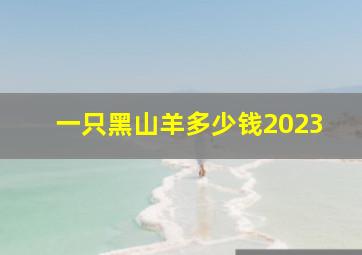 一只黑山羊多少钱2023