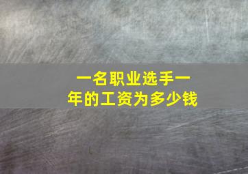 一名职业选手一年的工资为多少钱