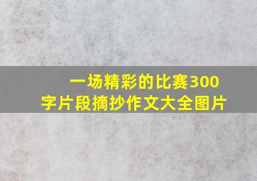 一场精彩的比赛300字片段摘抄作文大全图片