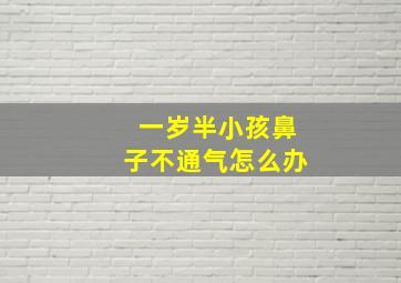 一岁半小孩鼻子不通气怎么办