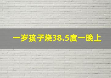 一岁孩子烧38.5度一晚上