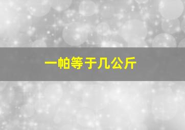 一帕等于几公斤