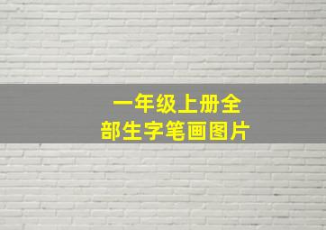 一年级上册全部生字笔画图片