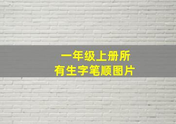 一年级上册所有生字笔顺图片