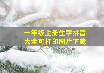 一年级上册生字拼音大全可打印图片下载