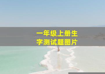 一年级上册生字测试题图片