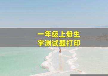 一年级上册生字测试题打印