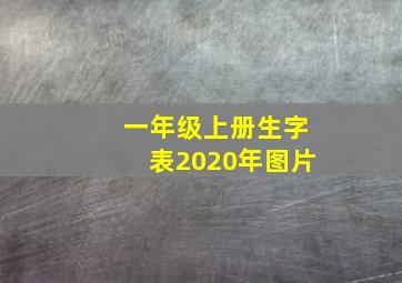 一年级上册生字表2020年图片