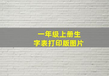 一年级上册生字表打印版图片