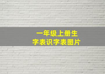 一年级上册生字表识字表图片