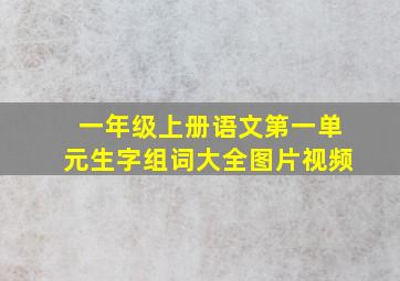 一年级上册语文第一单元生字组词大全图片视频