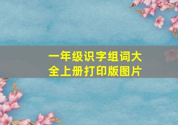 一年级识字组词大全上册打印版图片