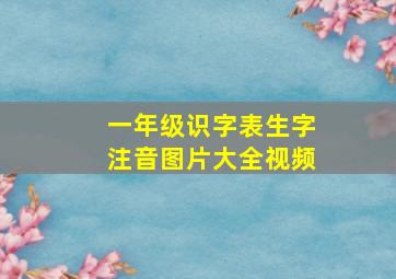 一年级识字表生字注音图片大全视频