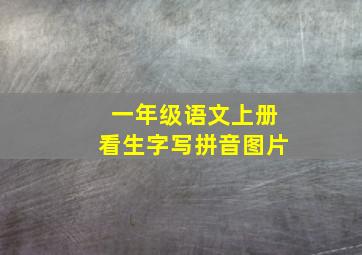 一年级语文上册看生字写拼音图片