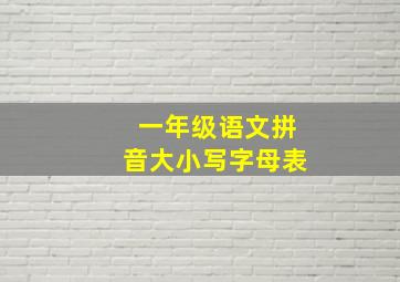 一年级语文拼音大小写字母表