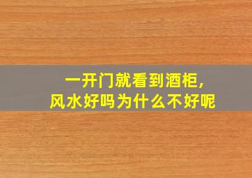 一开门就看到酒柜,风水好吗为什么不好呢