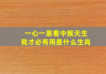 一心一意看中猴天生我才必有用是什么生肖