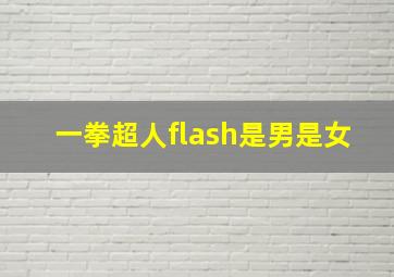 一拳超人flash是男是女