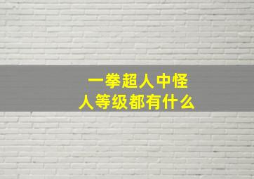 一拳超人中怪人等级都有什么