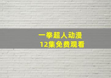 一拳超人动漫12集免费观看