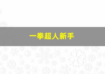 一拳超人新手