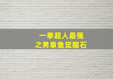 一拳超人最强之男章鱼觉醒石