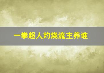 一拳超人灼烧流主养谁