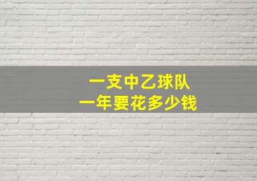 一支中乙球队一年要花多少钱