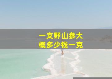 一支野山参大概多少钱一克