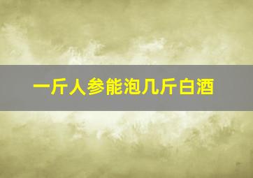 一斤人参能泡几斤白酒