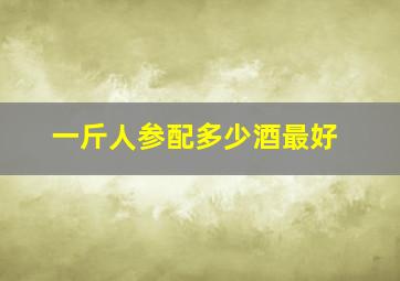 一斤人参配多少酒最好