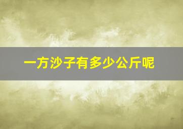 一方沙子有多少公斤呢