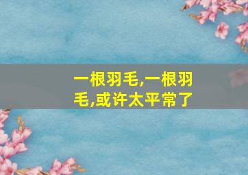 一根羽毛,一根羽毛,或许太平常了