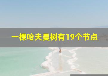 一棵哈夫曼树有19个节点