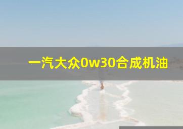 一汽大众0w30合成机油