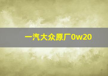 一汽大众原厂0w20