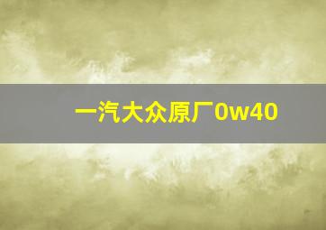 一汽大众原厂0w40